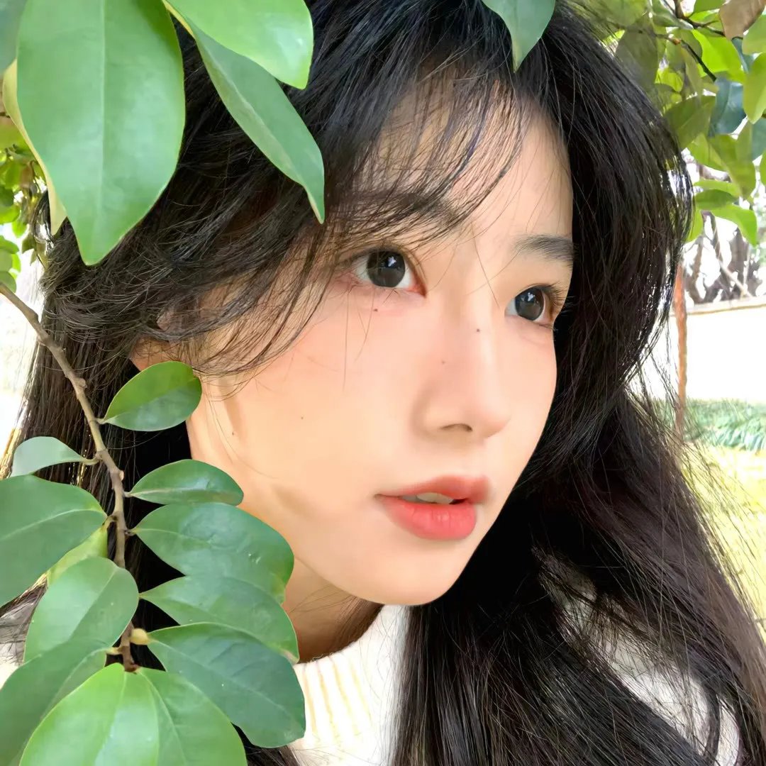 凡人的品格